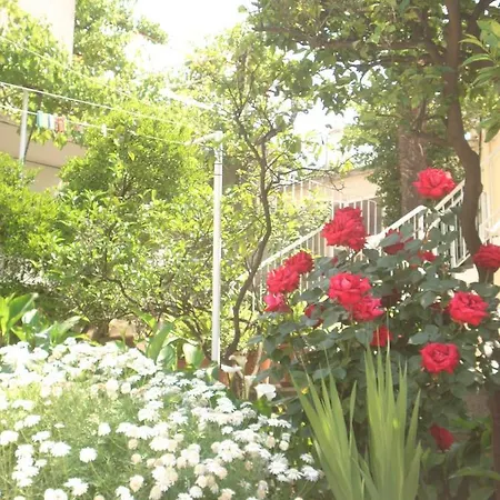 아파트 & Braticevic 두브로브니크