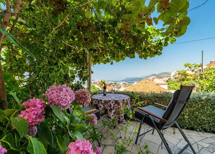 & Braticevic 公寓 杜布罗夫尼克