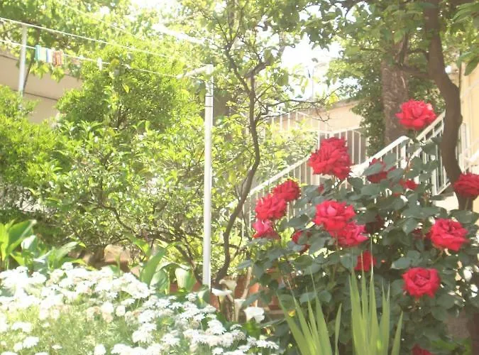 公寓 & Braticevic 杜布罗夫尼克